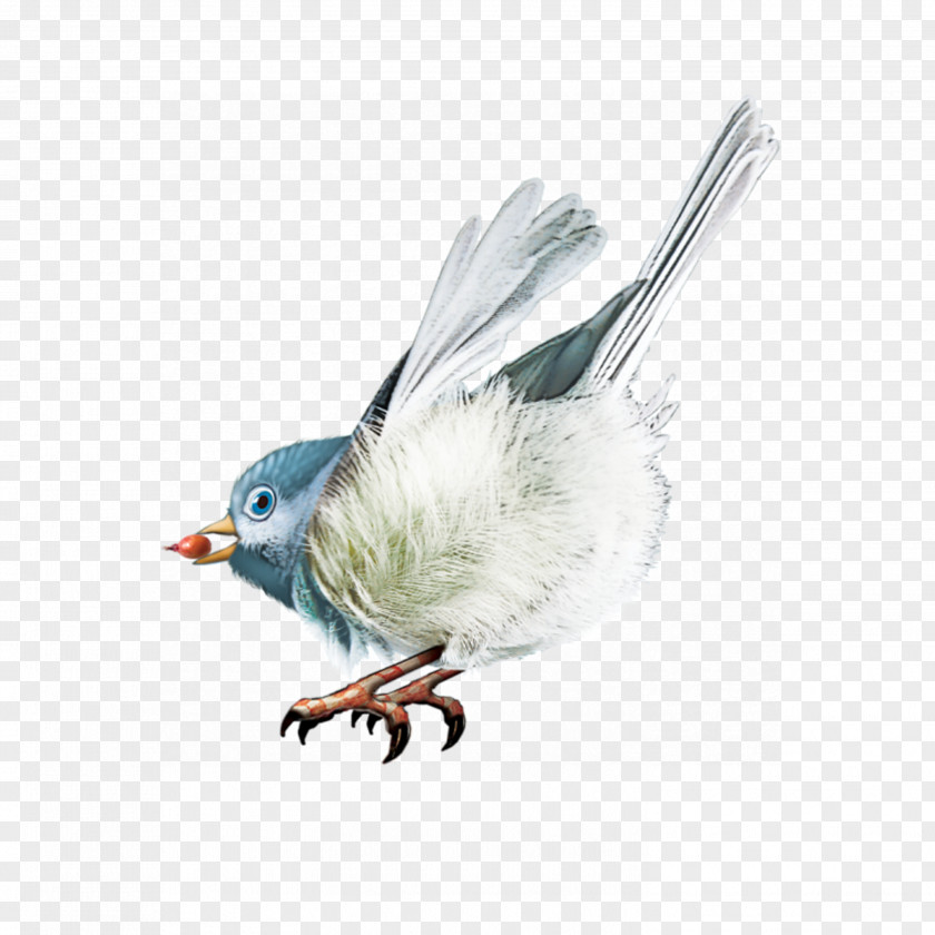 Birds Bird Gongbi Clip Art PNG