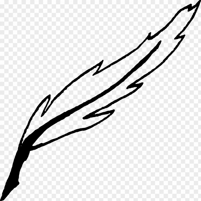 Design Twig Plant Stem Leaf Clip Art PNG