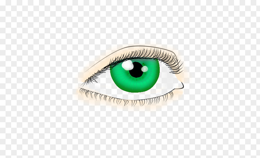 Green Eye Eyelash Extensions Artificial Hair Integrations PNG