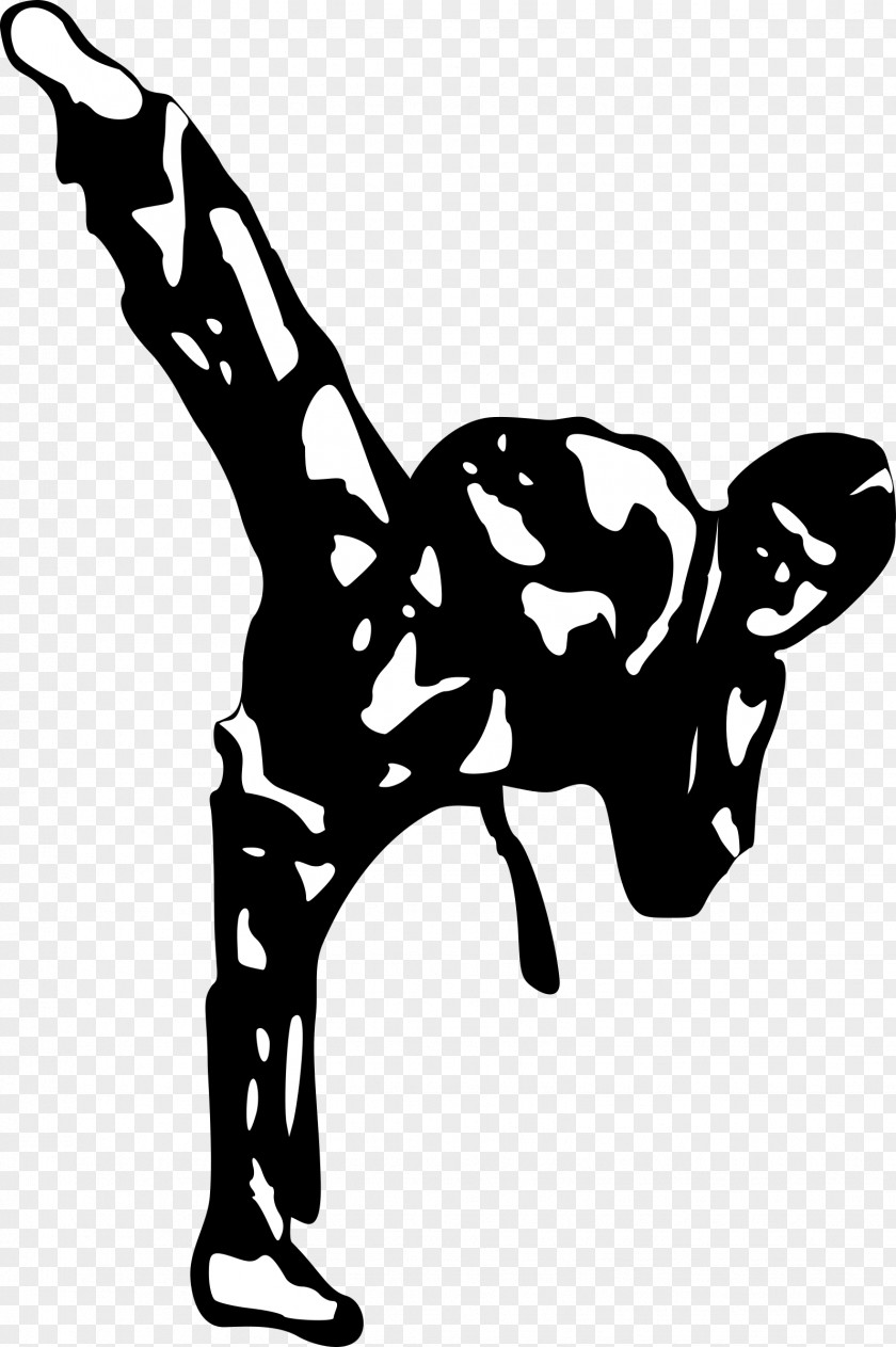 Martial Arts Budokan Karate Clip Art PNG