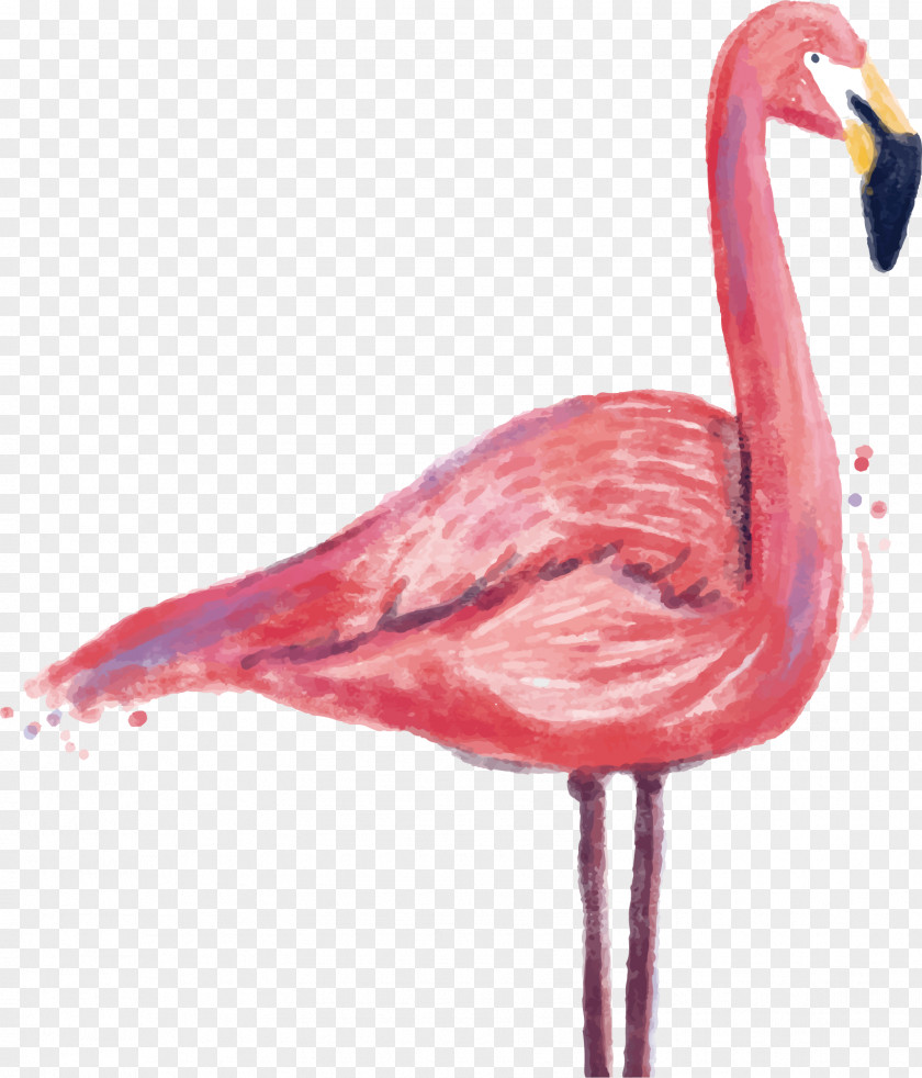 Vector Flamingo Printmaking Printing PNG