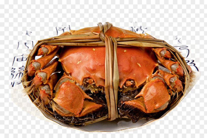 A Crab Giant Mud Eating Autumn Food PNG