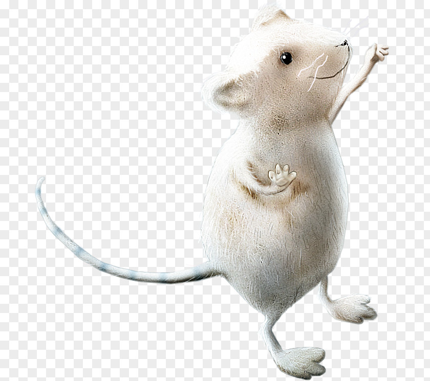 Cartoon Creative Decorative Floral Illustration Computer Mouse Rat Fancy PNG