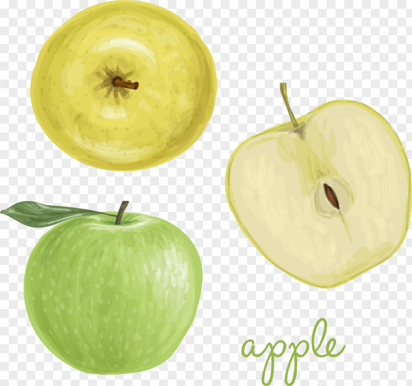 Cute Hand-painted Apples Granny Smith Apple Watercolor Painting PNG