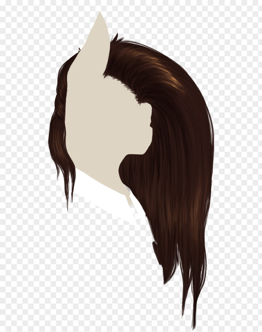 Mustang Mane Hair Coloring Brown PNG