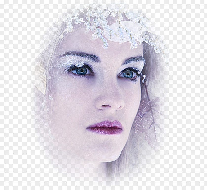 Tr The Snow Queen Ice Snowflake PNG