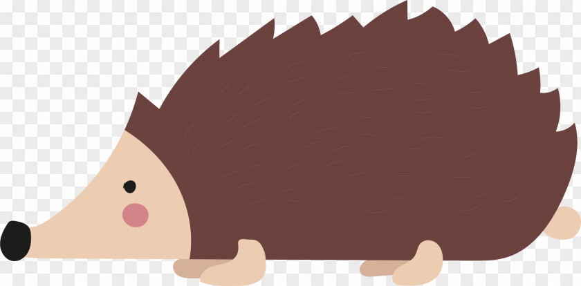 Vector Hedgehog T-shirt Illustration PNG