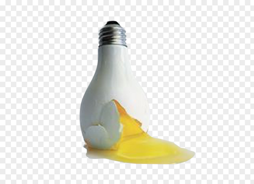 Bulb Egg Design Innovation Creativity PNG