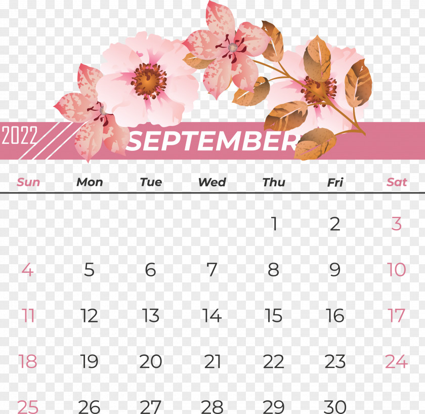 Calendar Font Pink M Flower Petal PNG