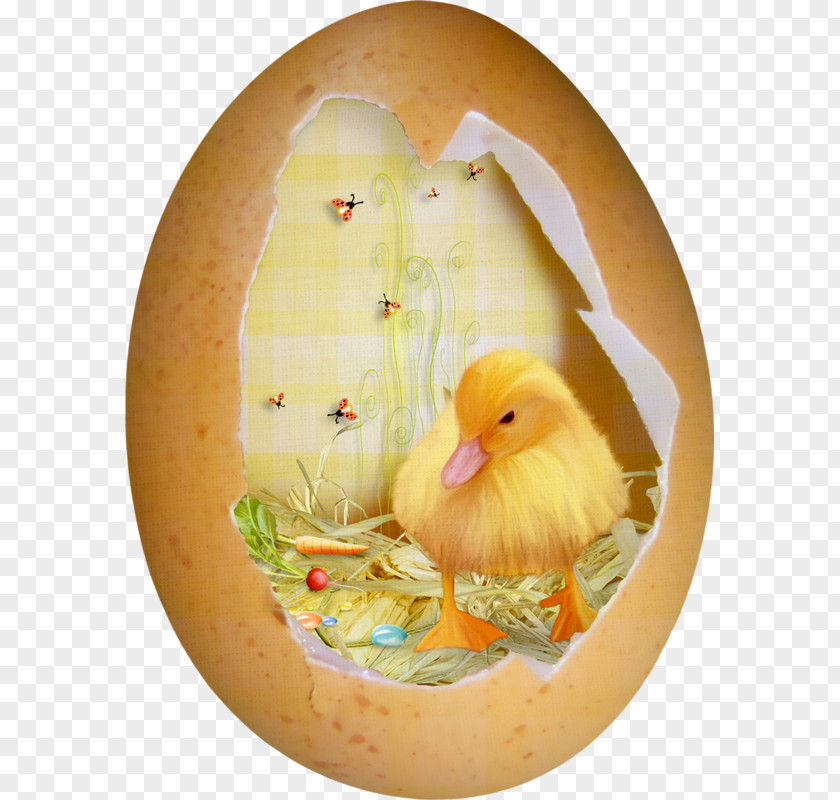 Duck House Easter Eggshell PNG