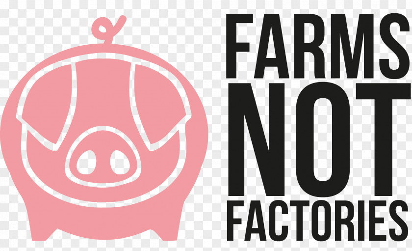 Farmer Intensive Animal Farming Agriculture Pig PNG