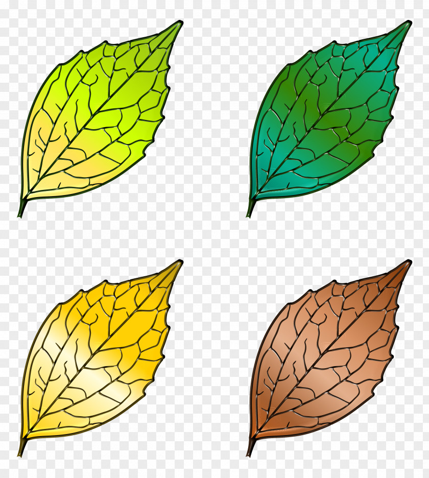 Hojas Poster DeviantArt Leaf Artist Image PNG