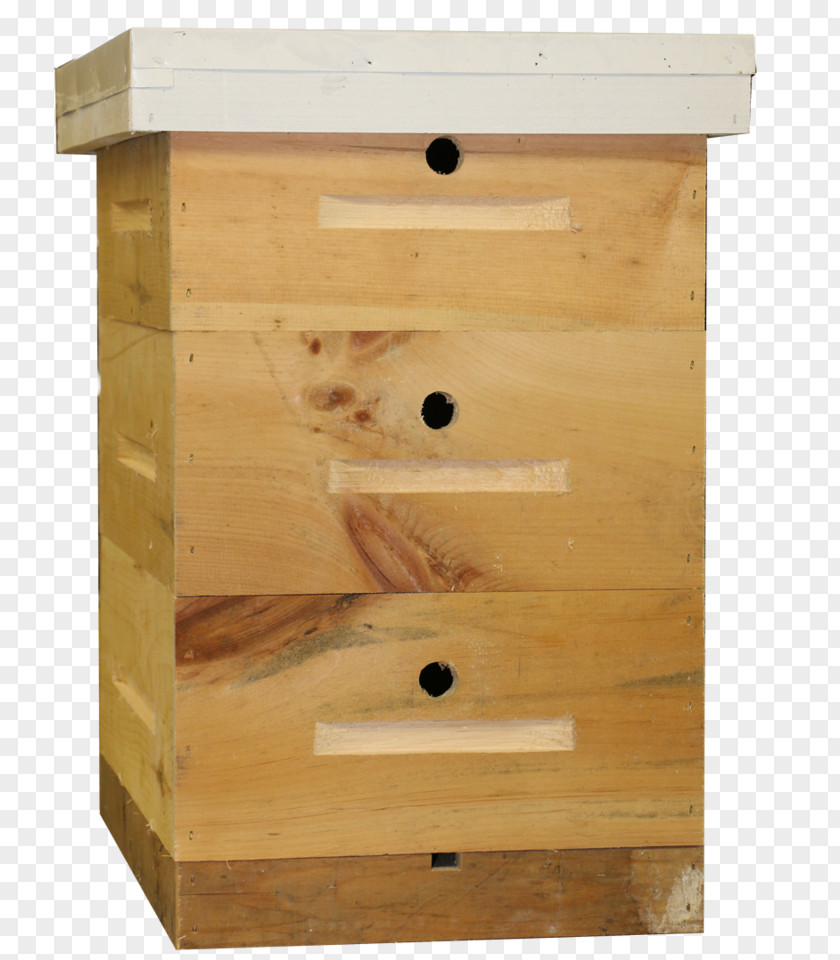 Wood The Observation Hive Drawer Stain Beekeeping Plywood PNG