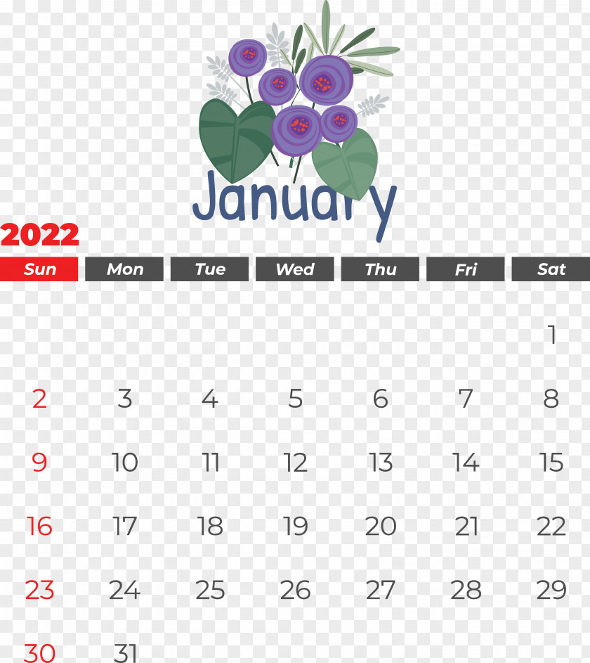 Calendar Line Font Meter Fruit PNG