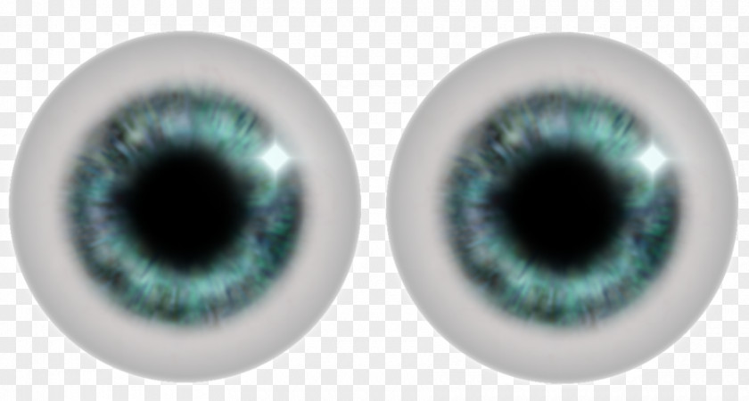 Eye Iris Human PNG