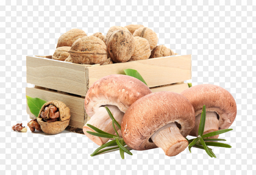 Mushrooms And Walnuts Walnut Juglans Food Drink Agy PNG