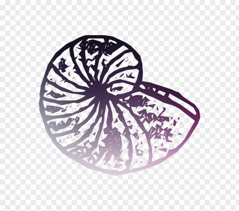 Butterfly Product Design Nautiluses Pollinator PNG