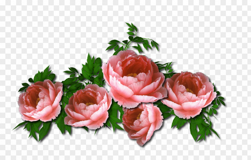 Chic Garden Roses Cut Flowers Floristry PNG