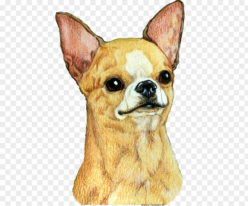 Chihuahua Art Dog Breed Companion Toy Whiskers PNG