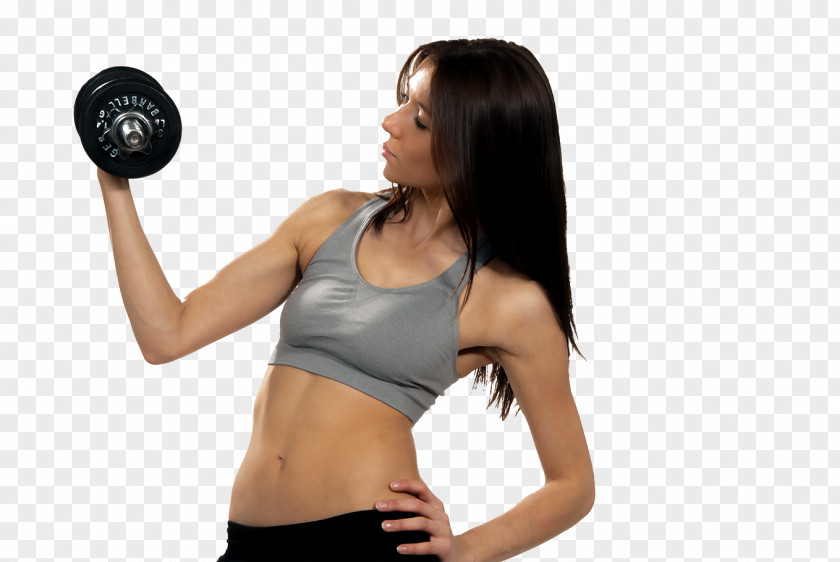 Dumbbell Physical Fitness Centre Exercise Medicine Balls PNG