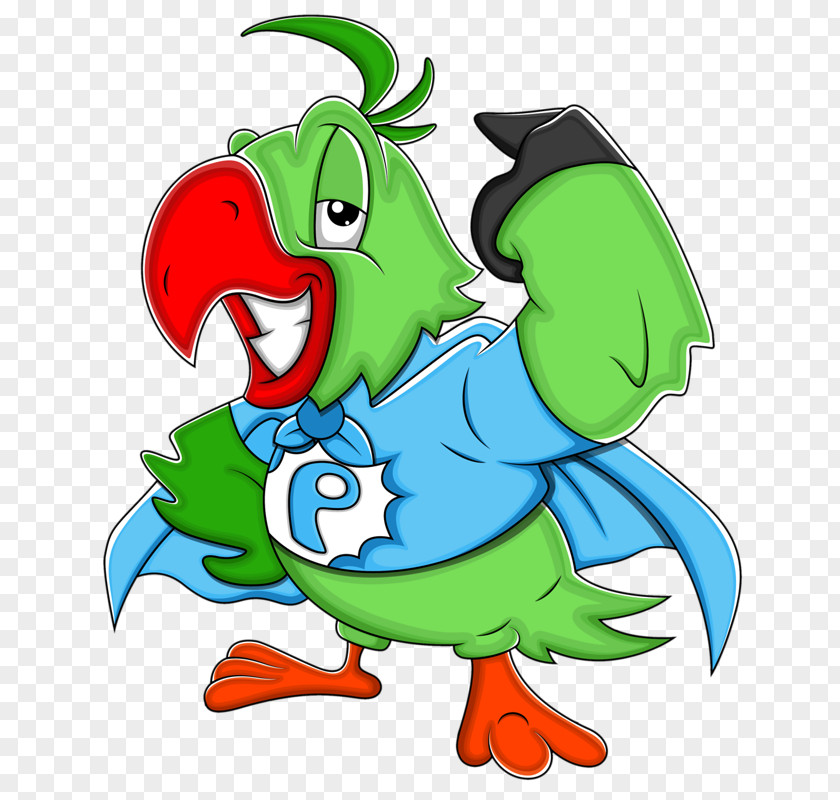 Green Parrot Bird Monk Parakeet Clip Art PNG
