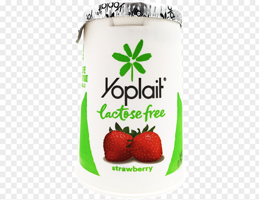 Milk Cream Kefir Yoplait Yoghurt PNG