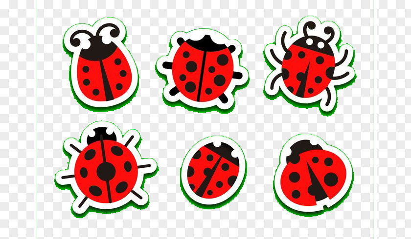 Watermelon Ladybug Art Graphic Design Illustration PNG