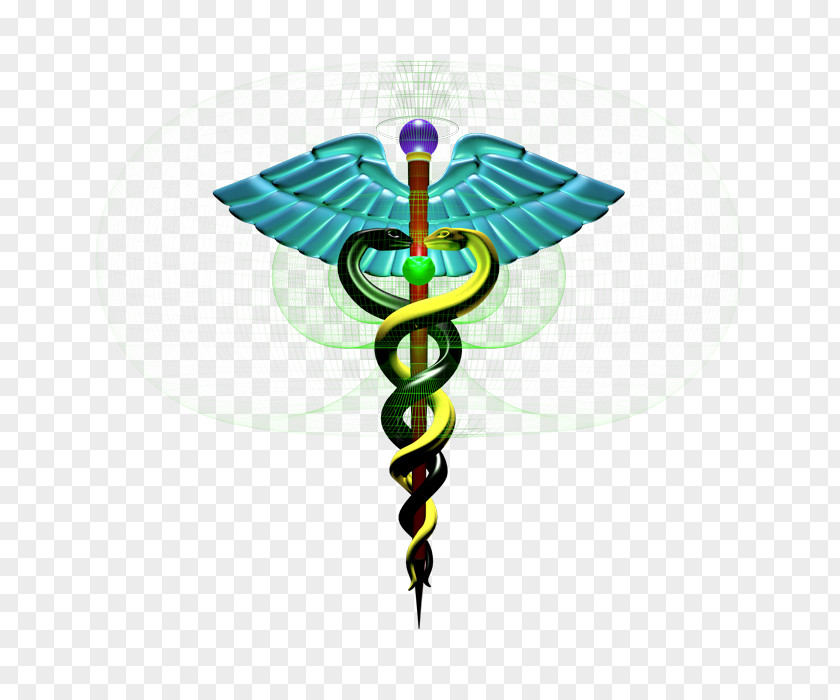 Wing Dragonflies And Damseflies Medicine Cartoon PNG