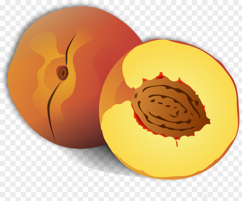 Brown Peach Free Content Clip Art PNG