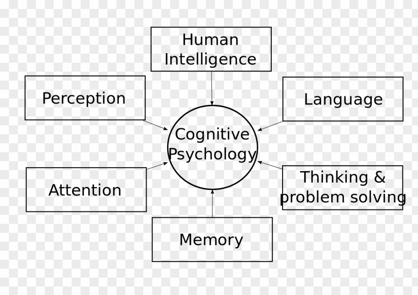 Cognitive Psychology Cognition Mental Process Perception PNG