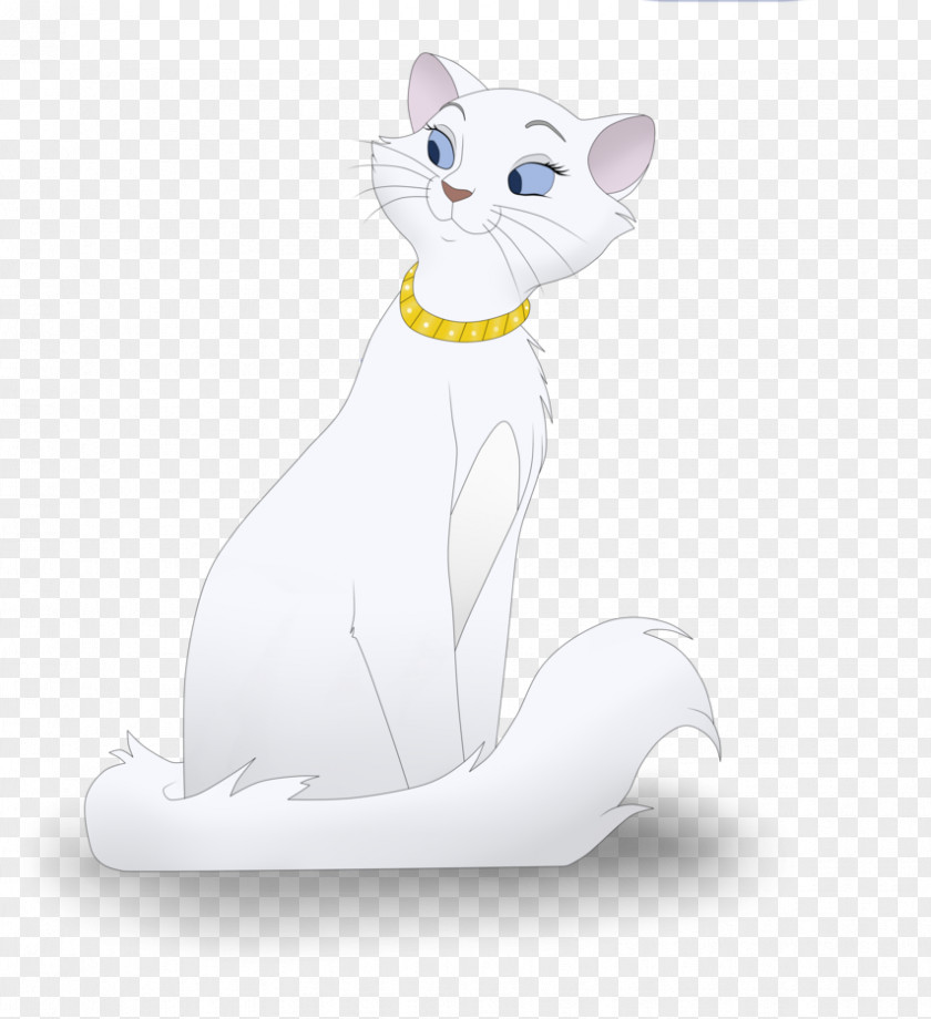 Kitten Whiskers Duchess Cat Toulouse PNG