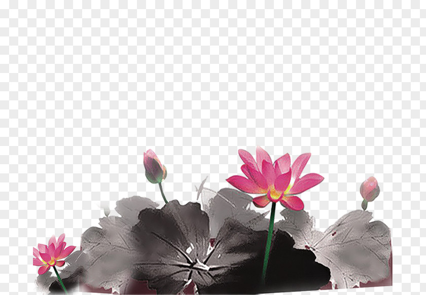 Lotus Leaf Ink Wash Painting PNG