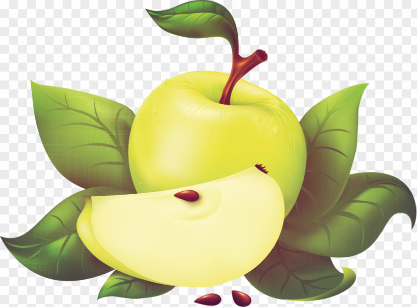 Painted Apple Clip Art PNG