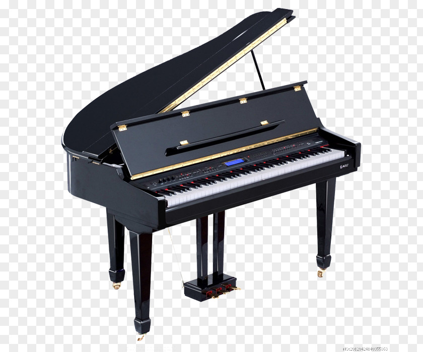 Piano Musical Keyboard PNG