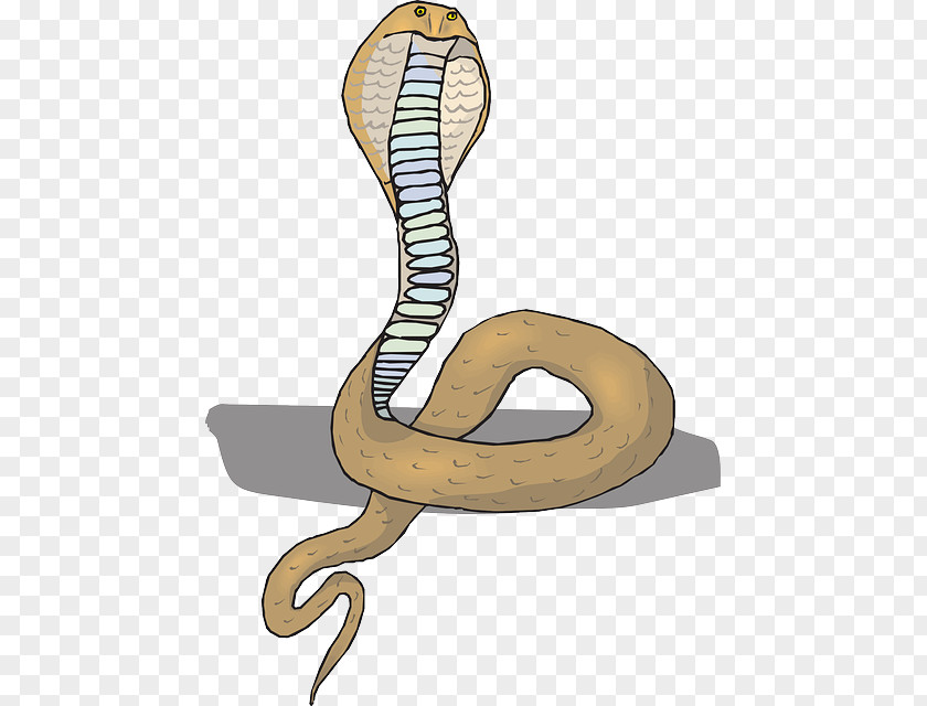 Snake Rattlesnake King Cobra Clip Art PNG
