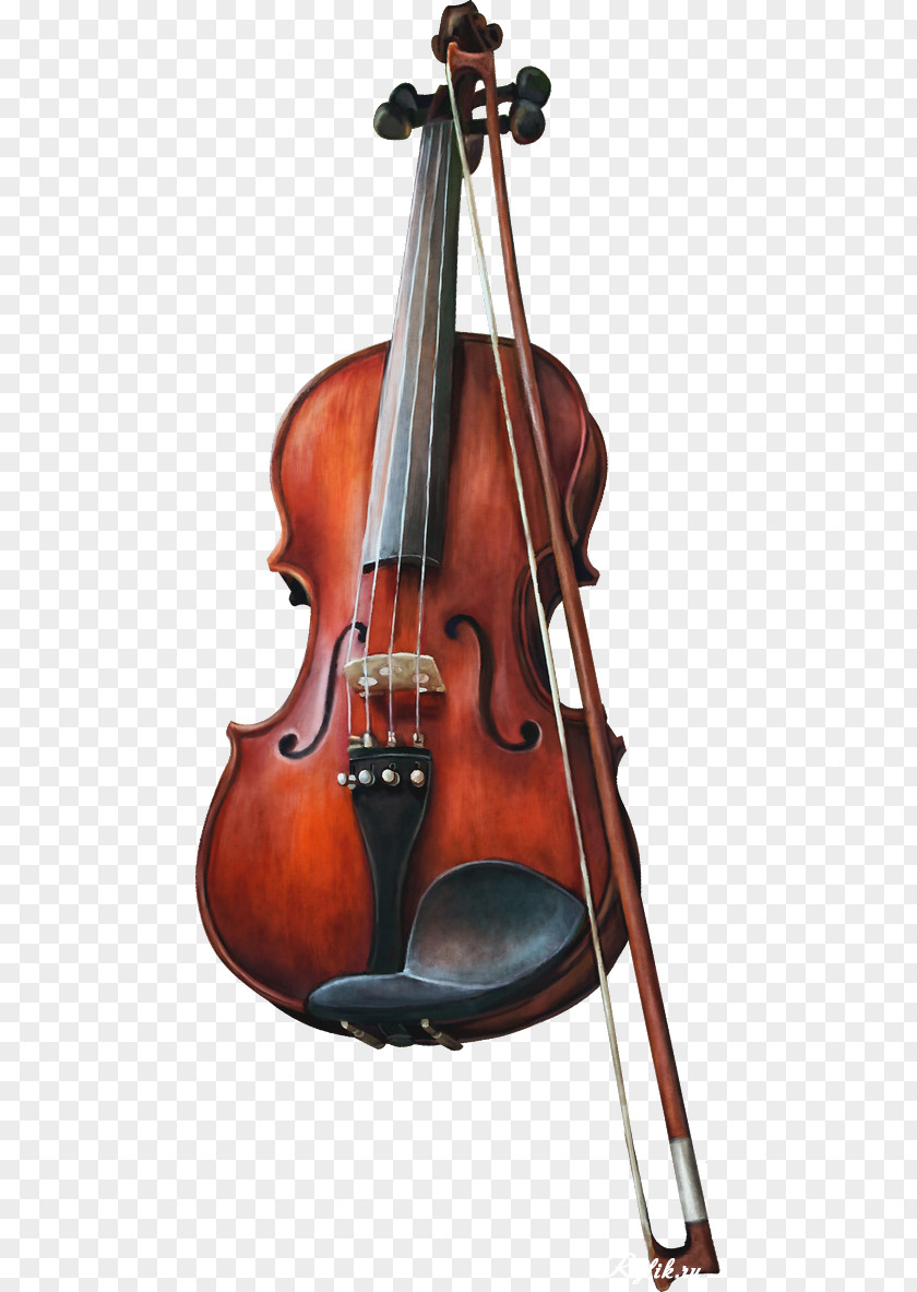 Violin Bow Image Transparency PNG