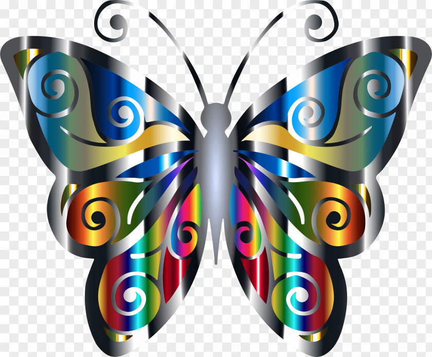 3 Butterfly Desktop Wallpaper PNG