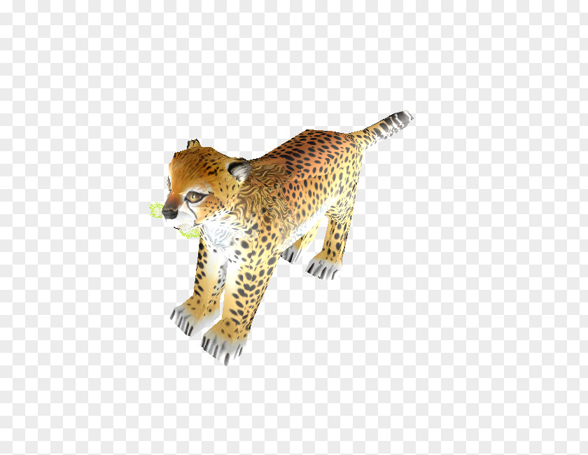 Cheetah Leopard Cat Animal Mammal PNG