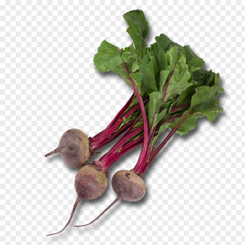 Chocolat Vegetable Beetroot Chard Food Common Beet PNG