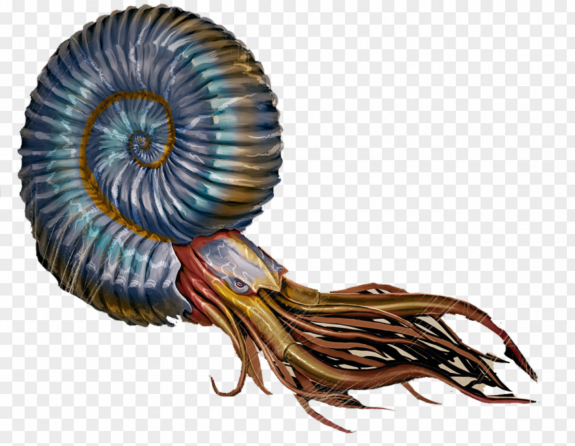 Dinosaur ARK: Survival Evolved Oviraptor Nautilidae Ammonites PNG