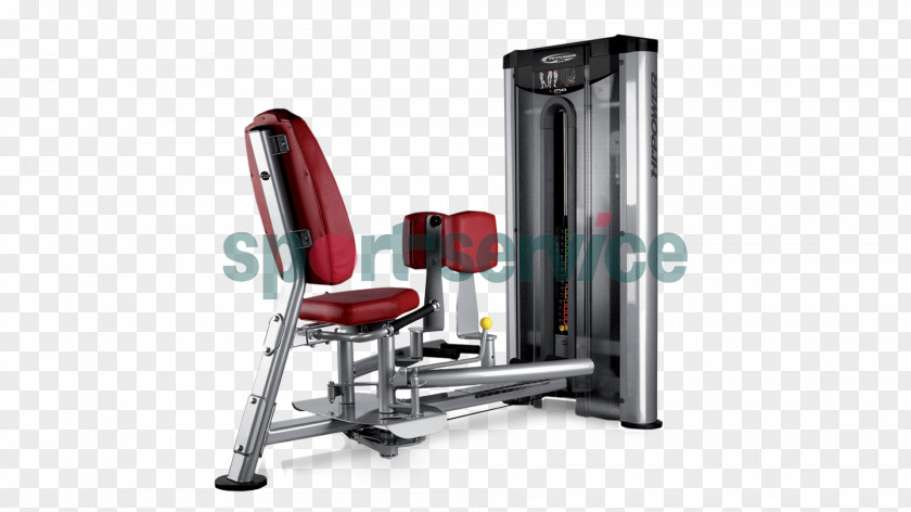 Fitness Centre Sport Physical Exercise Machine PNG