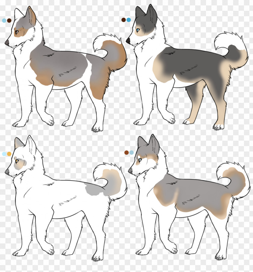 Please Do Not Litter Canaan Dog Shikoku Art Breed Siberian Husky PNG