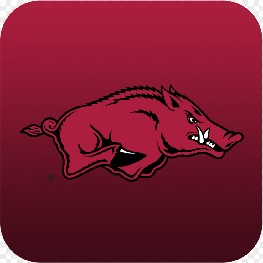 American Football Arkansas Razorbacks Bud Walton Arena Feral Pig Southeastern Conference College Hall Of Fame PNG