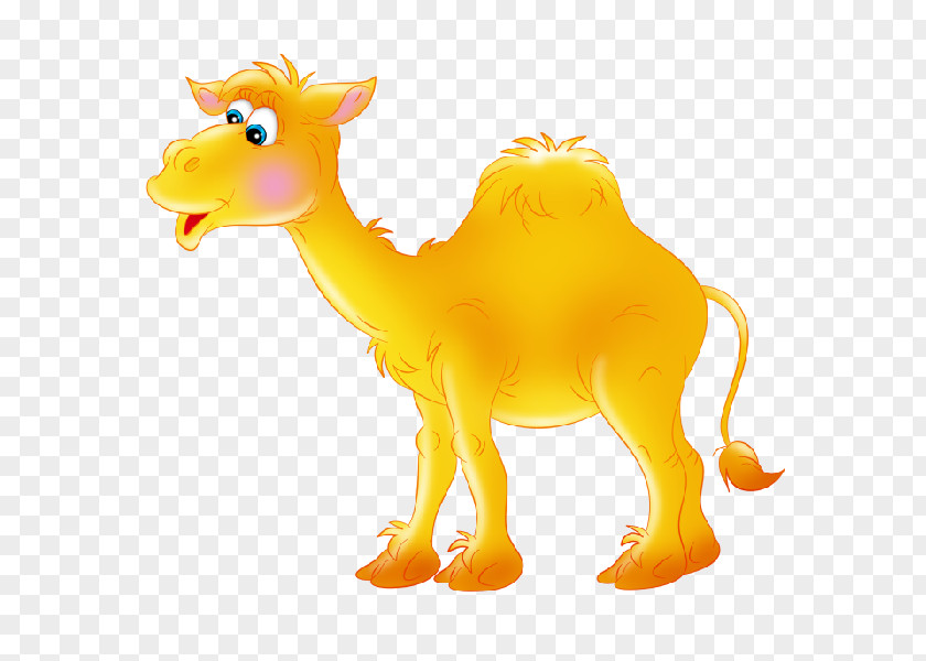 Camel Llama Clip Art PNG