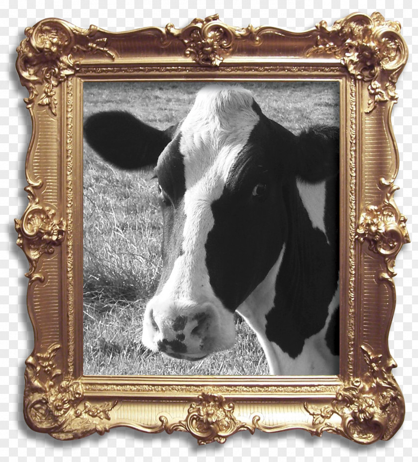 Continental Texture Betsy The Cow Holstein Friesian Cattle Milk Dairy Bluebell PNG