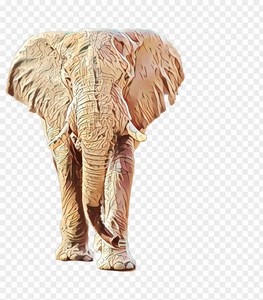 Indian Elephant PNG