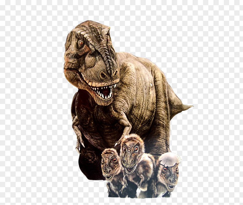 Jurassic Dinosaur Tyrannosaurus PNG