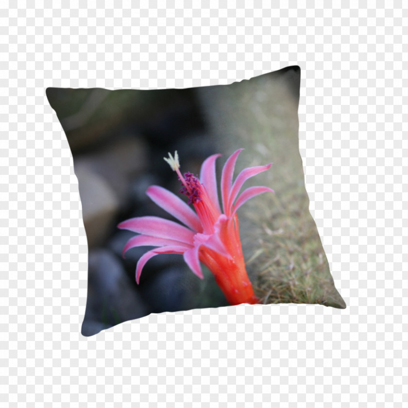Pillow Cushion Throw Pillows Flower PNG
