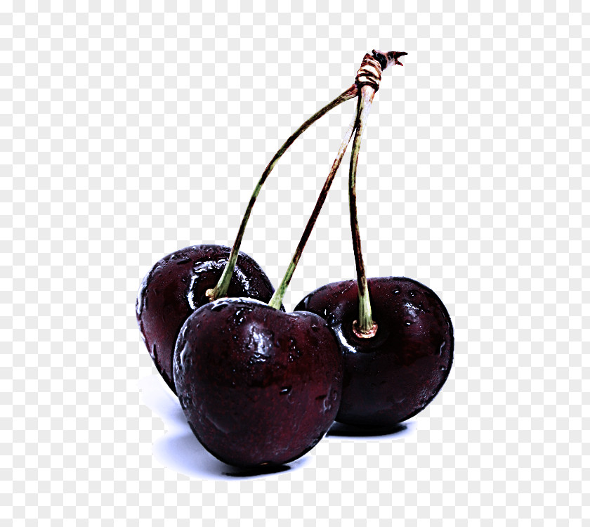 Prune Woody Plant Cherry Fruit European Plum Black PNG