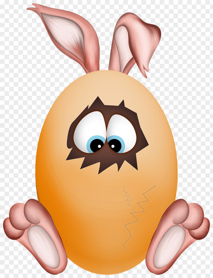Rabbit Easter Bunny Clip Art Image Drawing PNG